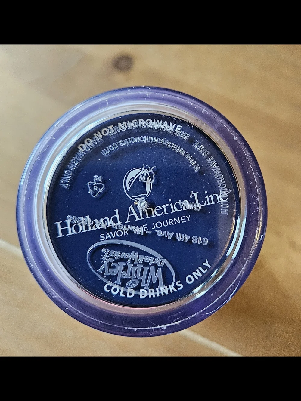 Set Of 2 Holland America Line World Map Travel Insulated Tumbler Silver/Blue